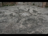 00311 ostia - regio ii - insula ii - terme dei cisiarii (ii,ii,3) - frigidarium (2, c) - mosaik - blick nach norden.jpg